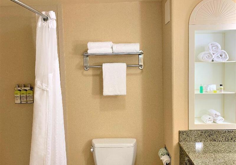 سوئیت با تخت بزرگ, Holiday Inn Express Fresno Northwest   Herndon, An Ihg