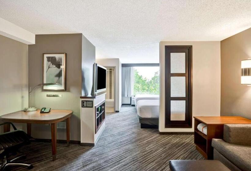 Номер Стандарт, Hyatt Place Richmond   Innsbrook