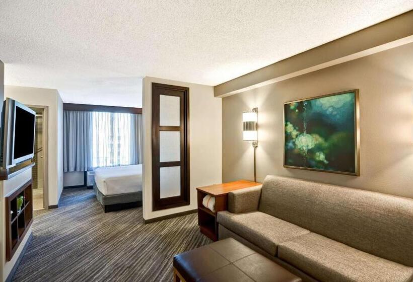 Номер Стандарт Кровать Кинг Адаптированный для Инвалидов, Hyatt Place Richmond   Innsbrook