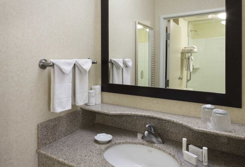 Suite, Springhill Suites Indianapolis Fishers