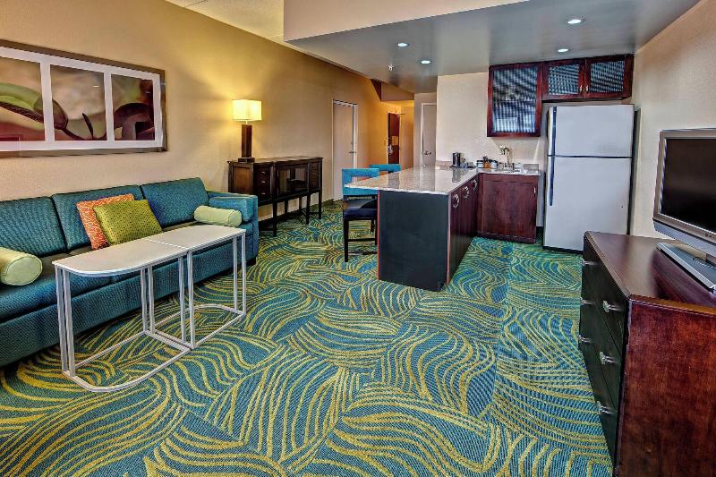 带大床的套房, Springhill Suites Norfolk Old Dominion University