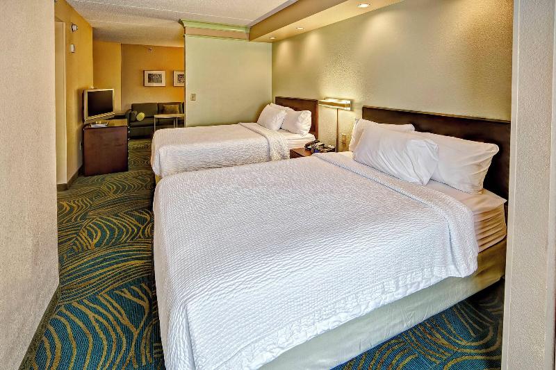 套房, Springhill Suites Norfolk Old Dominion University