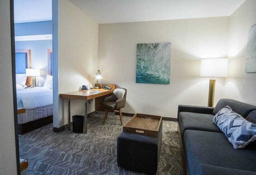 Студия Стандарт, Springhill Suites By Marriott Winston Salem Hanes Mall