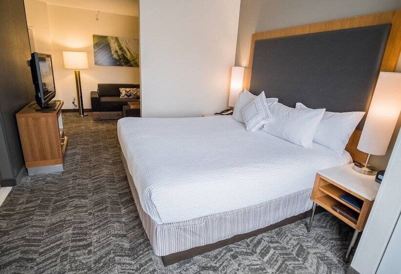 Студия Стандарт, Springhill Suites By Marriott Winston Salem Hanes Mall
