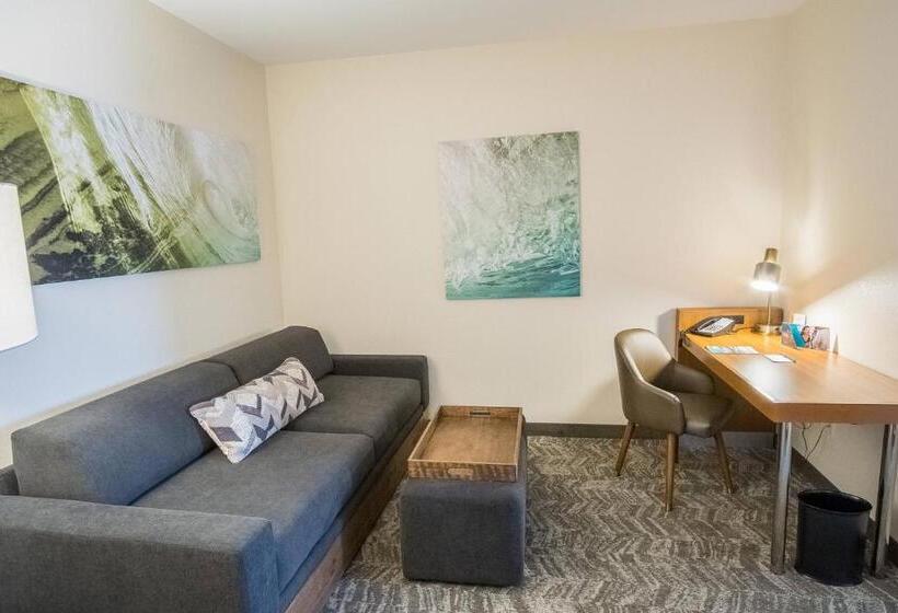 Студио Стандарт Кровать Кинг, Springhill Suites By Marriott Winston Salem Hanes Mall