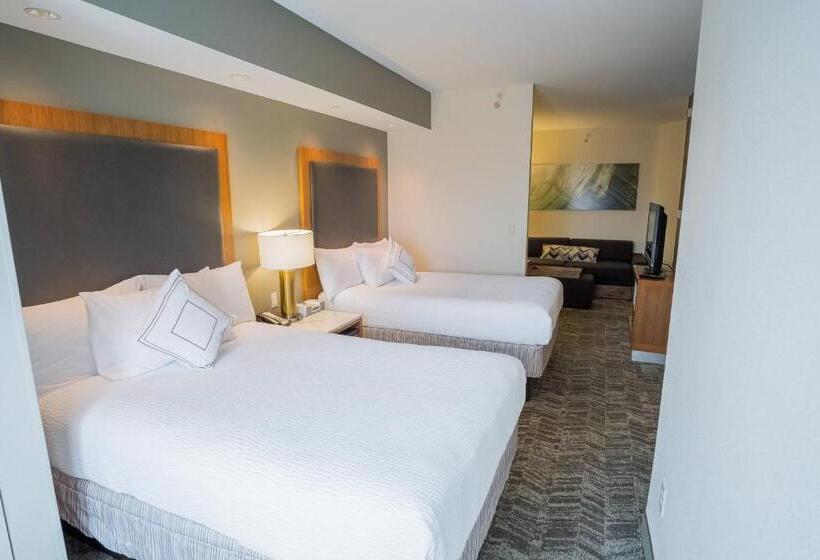 Студия Стандарт, Springhill Suites By Marriott Winston Salem Hanes Mall