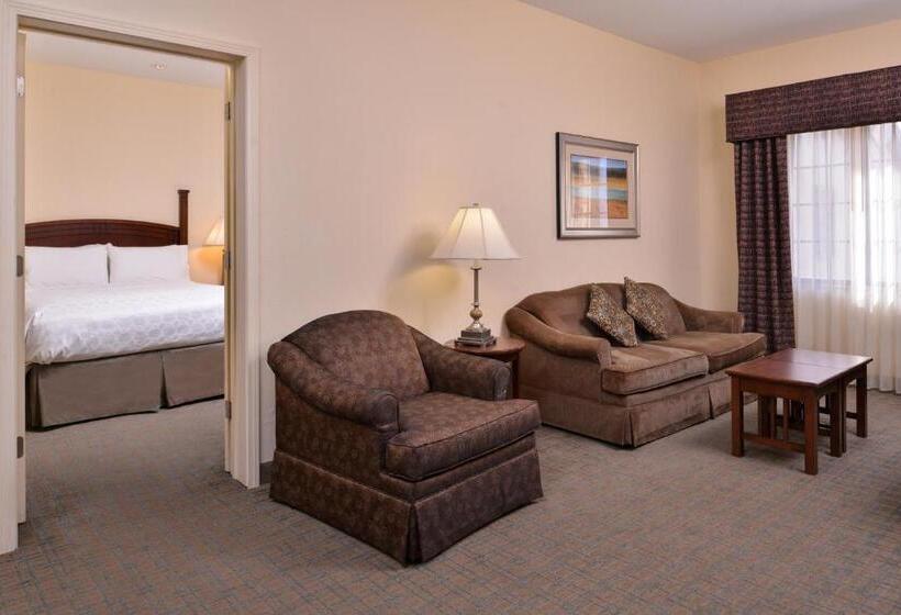 سوئیت 2 خوابه, Staybridge Suites Oklahoma City Airport By Ihg