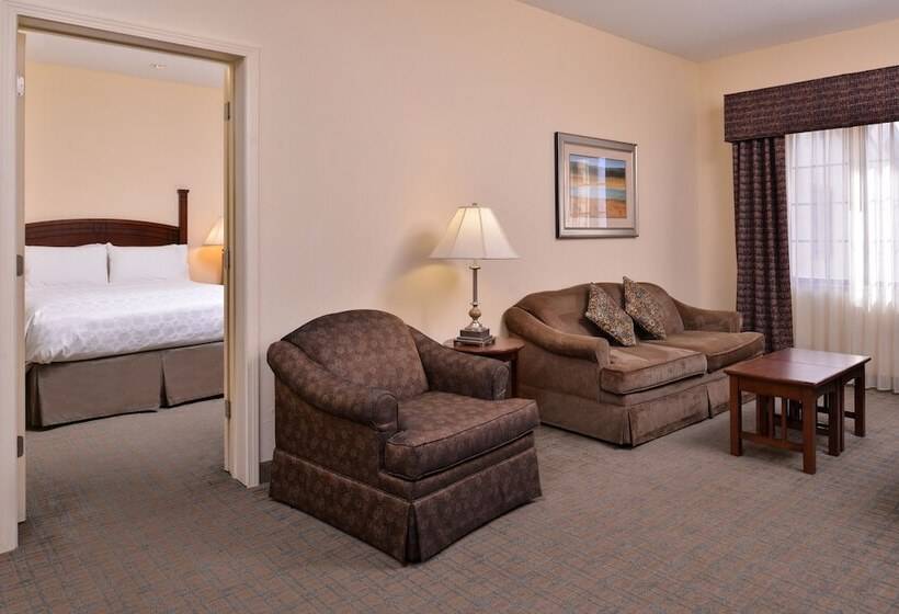 اتاق استاندارد, Staybridge Suites Oklahoma City Airport By Ihg