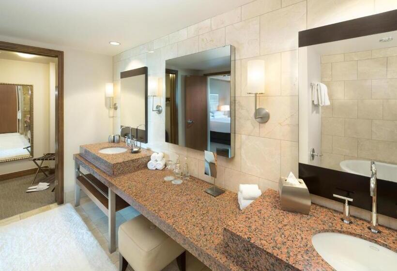 스위트, Hyatt Regency Denver At Colorado Convention Center