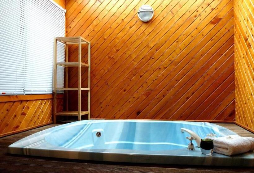 Апартаменты Комфорт 1 Спальня, Rotorua Coachman Spa Motel