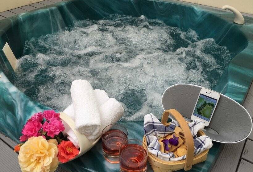 行政套房, Rotorua Coachman Spa Motel