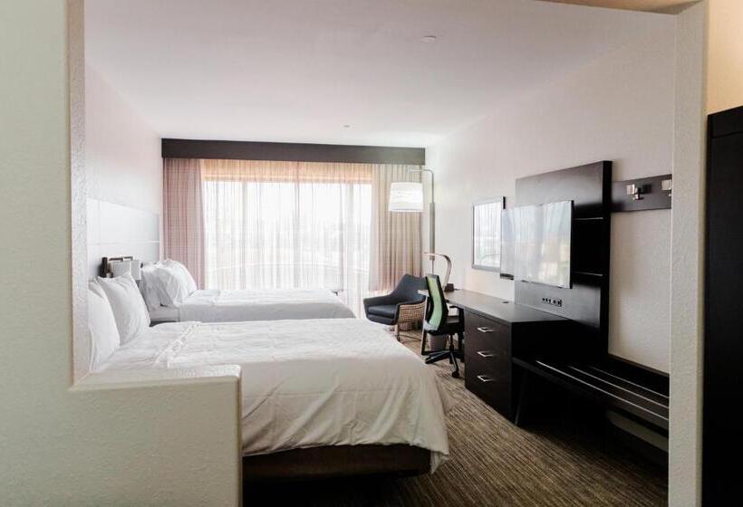 장애인을 위한 스탠다드 룸, Holiday Inn Express Hotel & Suites Greenville, An Ihg