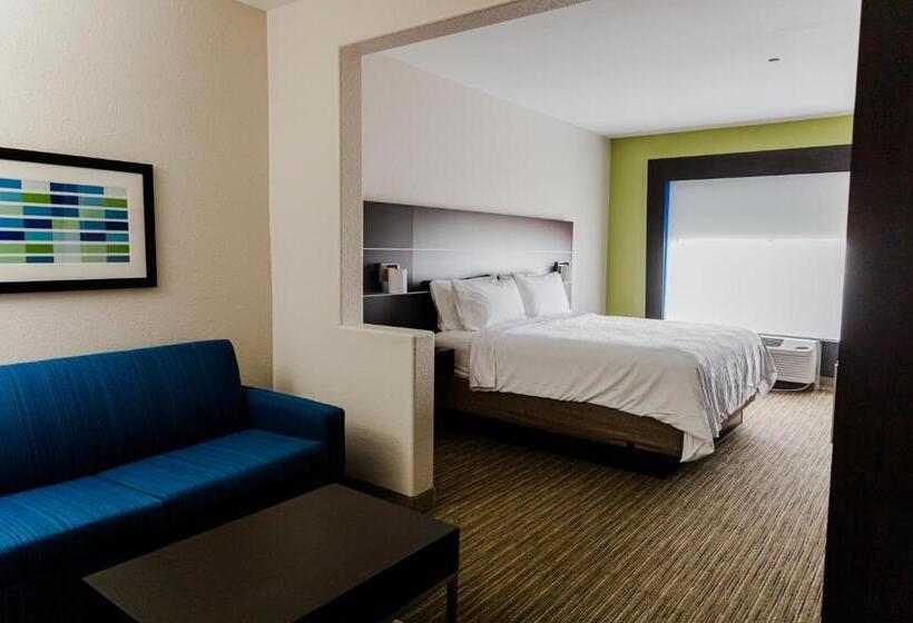 스위트 킹사이즈 침대, Holiday Inn Express Hotel & Suites Greenville, An Ihg