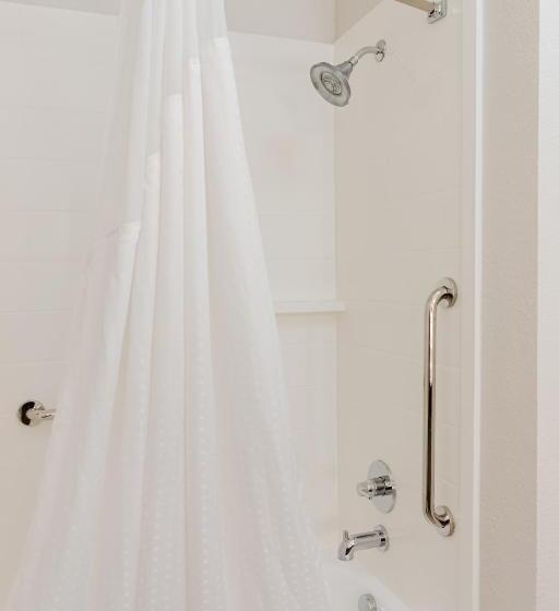 이그제큐티브 룸 킹사이즈 침대, Holiday Inn Express Hotel & Suites Greenville, An Ihg