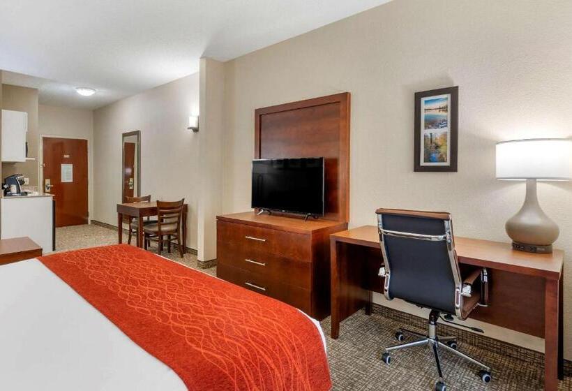 스위트 킹사이즈 침대, Comfort & Inn Suites