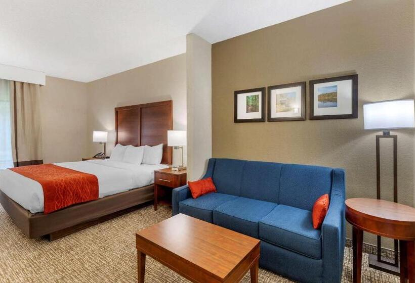 스위트 킹사이즈 침대, Comfort & Inn Suites