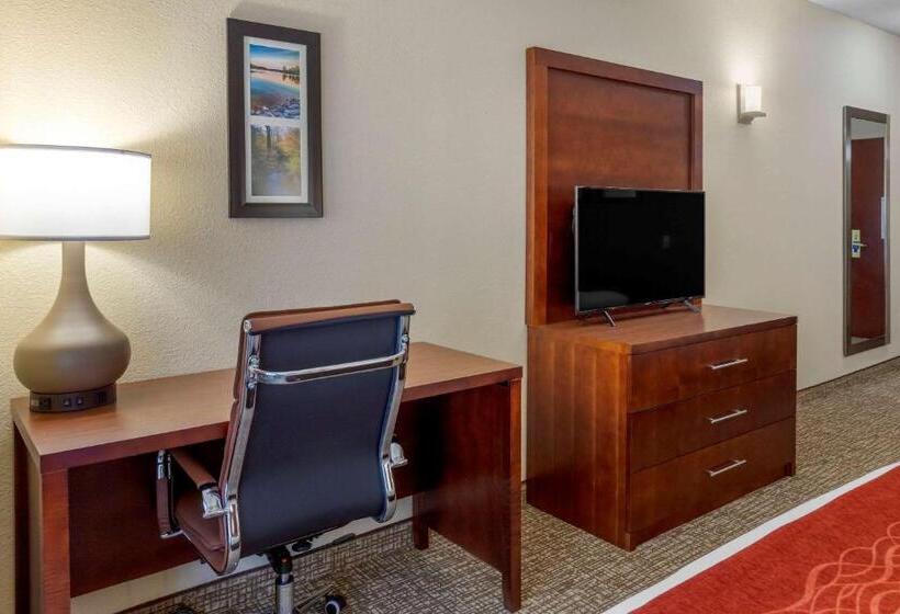 스탠다드 룸, Comfort & Inn Suites
