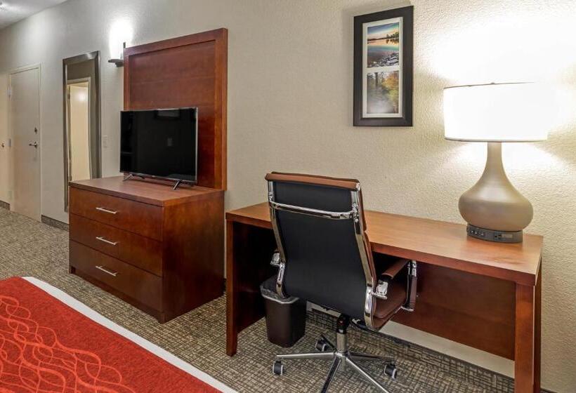스탠다드 룸 킹사이즈 침대, Comfort & Inn Suites