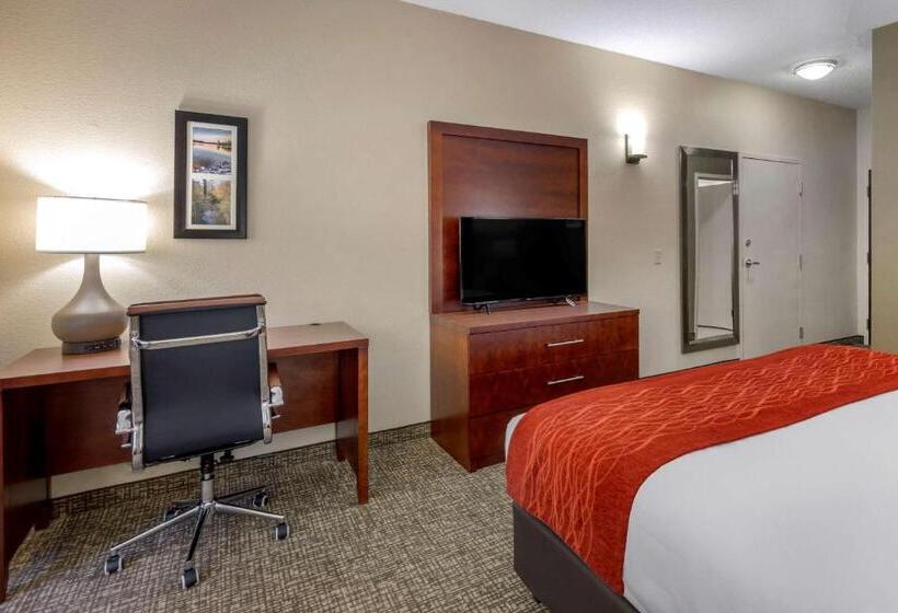 스탠다드 룸 킹사이즈 침대, Comfort & Inn Suites