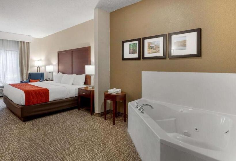 １階のスタンダードルーム, Comfort & Inn Suites