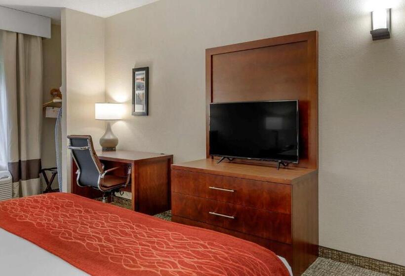 身障者適用キングサイズベッドルーム, Comfort & Inn Suites