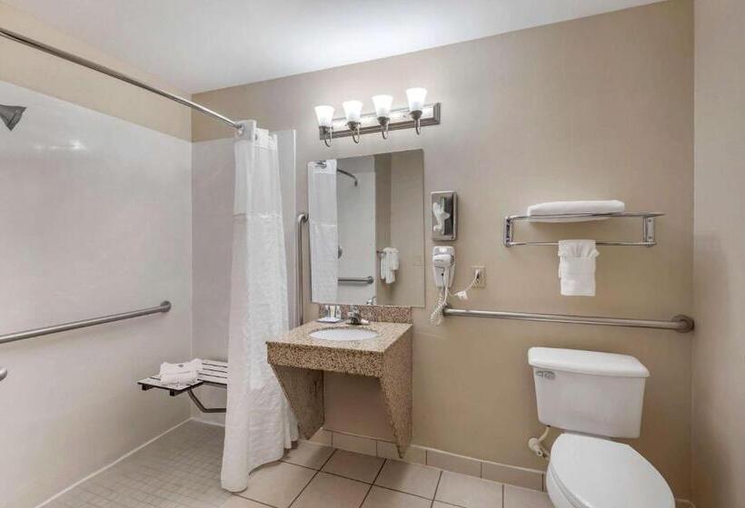 身障者適用キングサイズベッドルーム, Comfort & Inn Suites