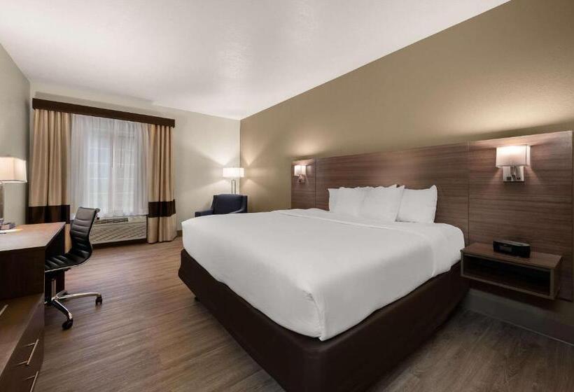 스탠다드 룸 킹사이즈 침대, Comfort Inn & Suites