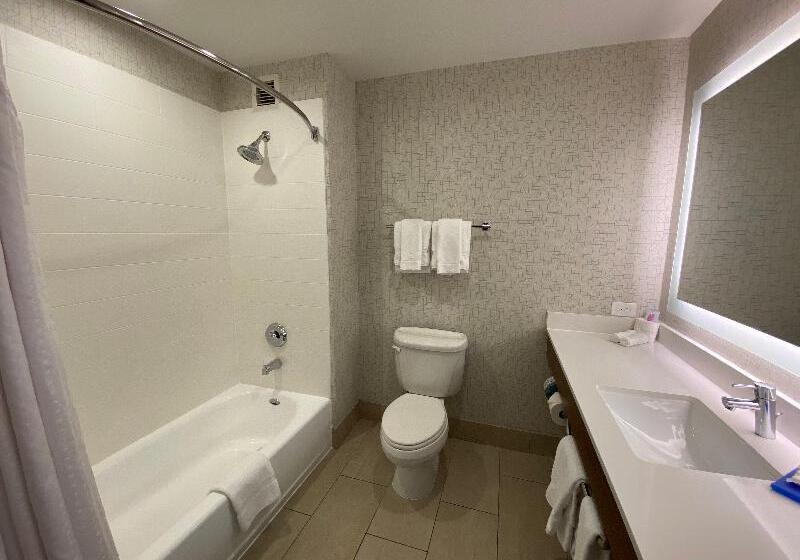 Стандартный Номер Кровать Кинг, Holiday Inn Express Hotel & Suites El Dorado Hills, An Ihg