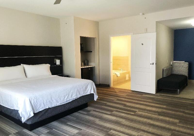 Стандартный Номер Кровать Кинг, Holiday Inn Express Hotel & Suites El Dorado Hills, An Ihg