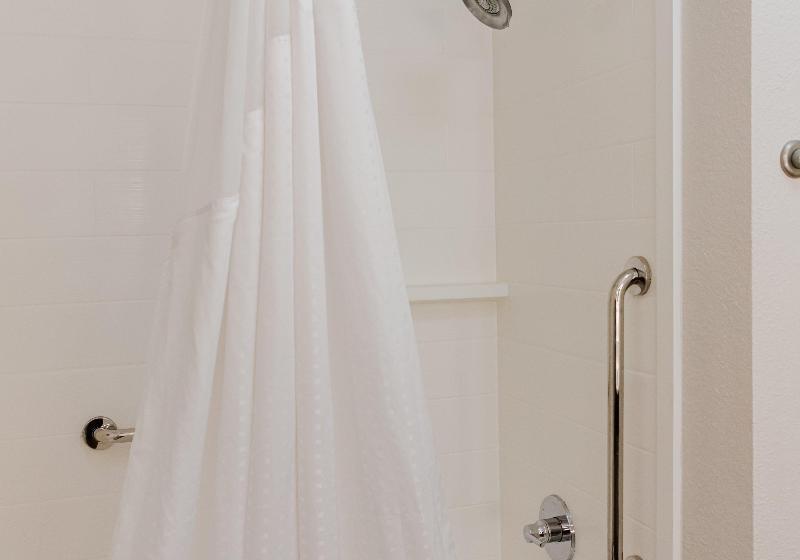 스탠다드 룸 킹사이즈 침대, Holiday Inn Express Hotel & Suites Greenville, An Ihg