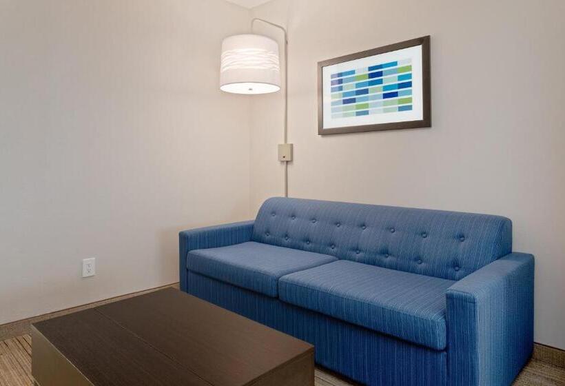 스위트 킹사이즈 침대, Holiday Inn Express Hotel & Suites Lake Placid, An Ihg