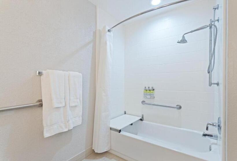 장애인을 위한 스위트, Holiday Inn Express Hotel & Suites Lake Placid, An Ihg