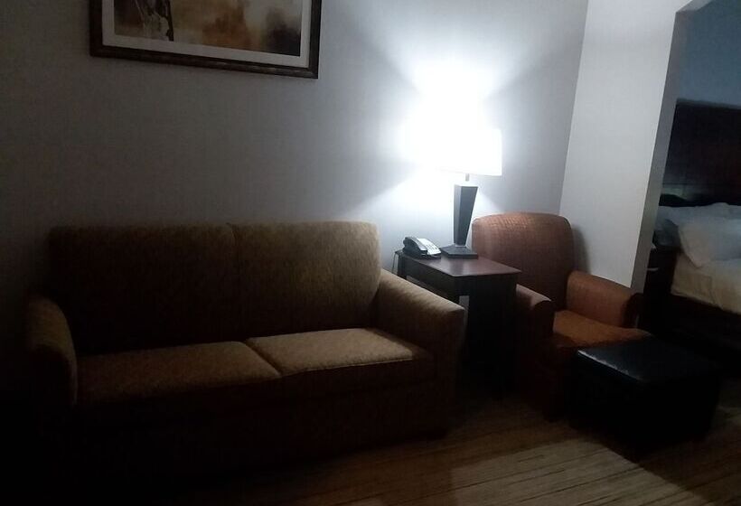 장애인을 위한 스위트, Holiday Inn Express Hotel & Suites Lake Placid, An Ihg