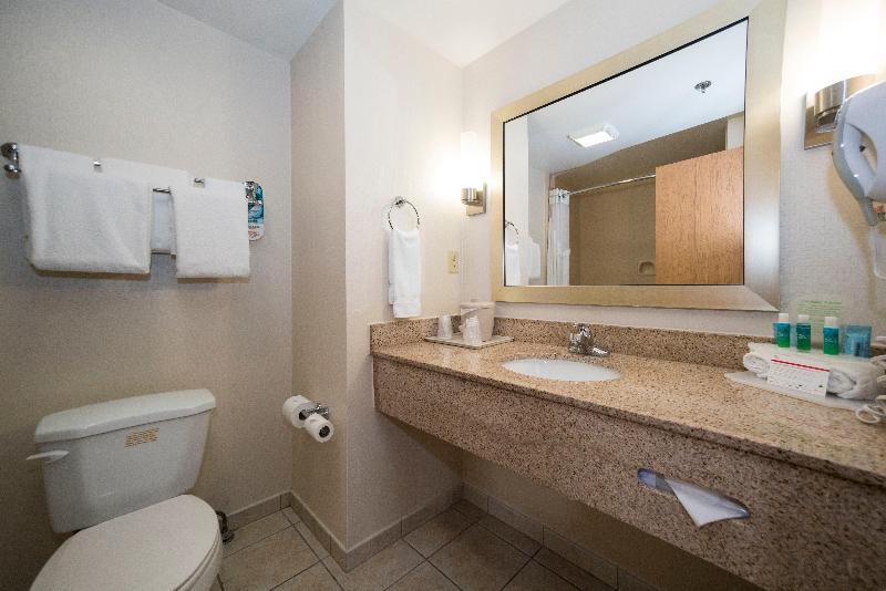 带大床的套房, Holiday Inn Express & Suites Vicksburg By Ihg
