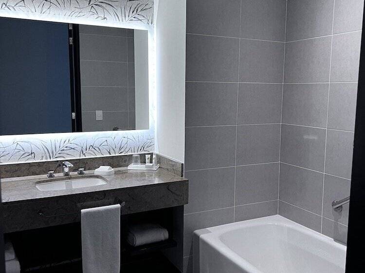 스위트, Holiday Inn Bogota Airport, An Ihg