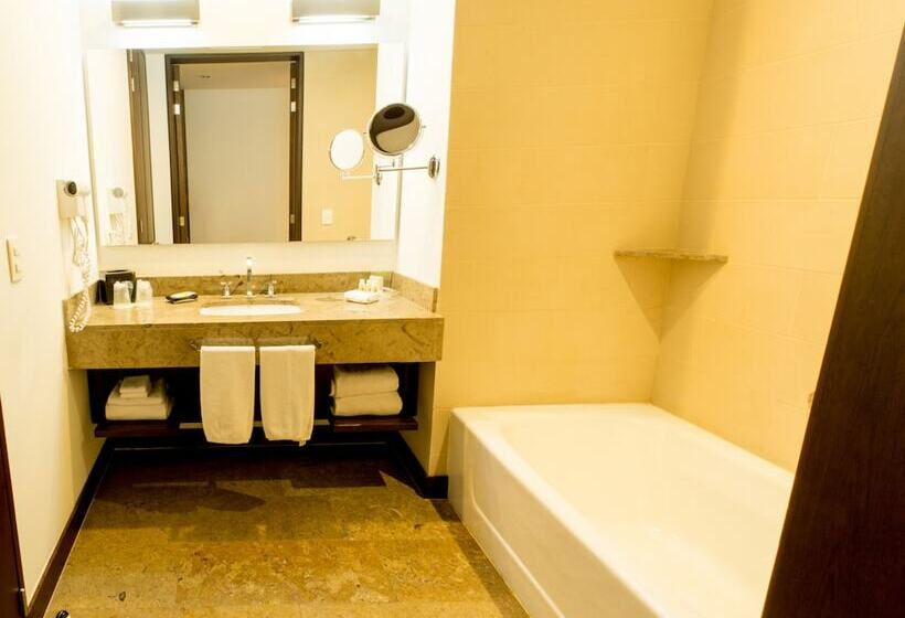 스위트, Holiday Inn Bogota Airport, An Ihg