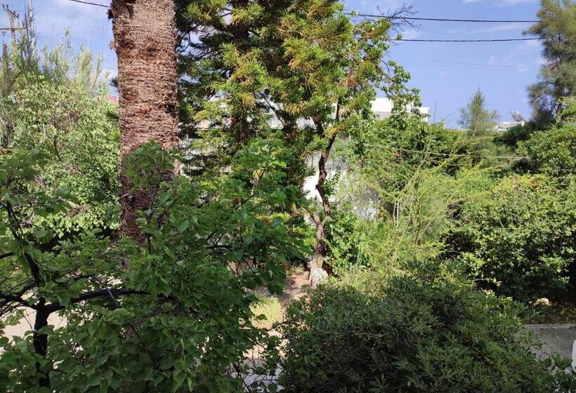 اتاق سوپریور با چشم‌انداز باغ, Dolphin Apartments