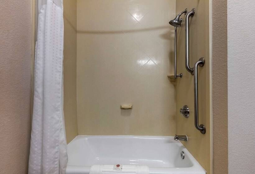 适合残疾人士使用的套间, Lake Texoma Inn And Suites To Match Ihg