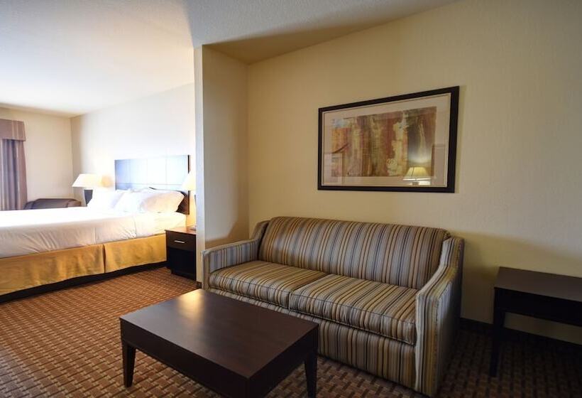 스위트, Holiday Inn Express & Suites Del Rio, An Ihg