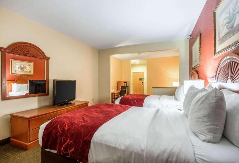 Люкс, Comfort Suites