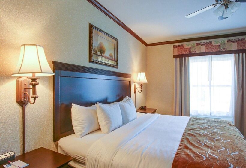 سوییت, Comfort Suites University Drive
