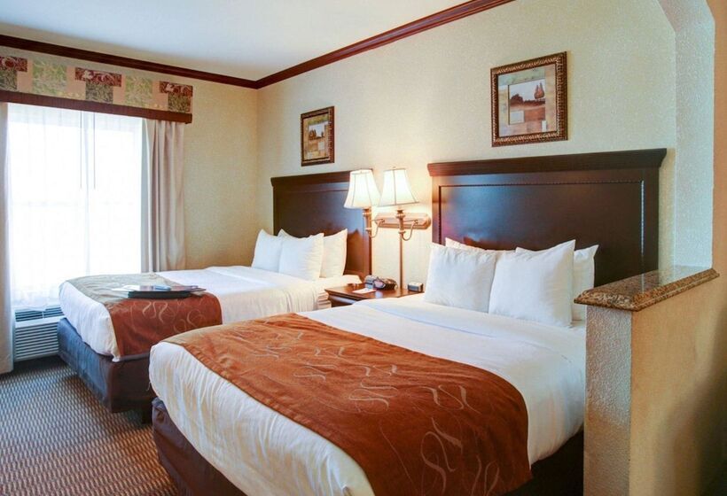 سوییت, Comfort Suites University Drive