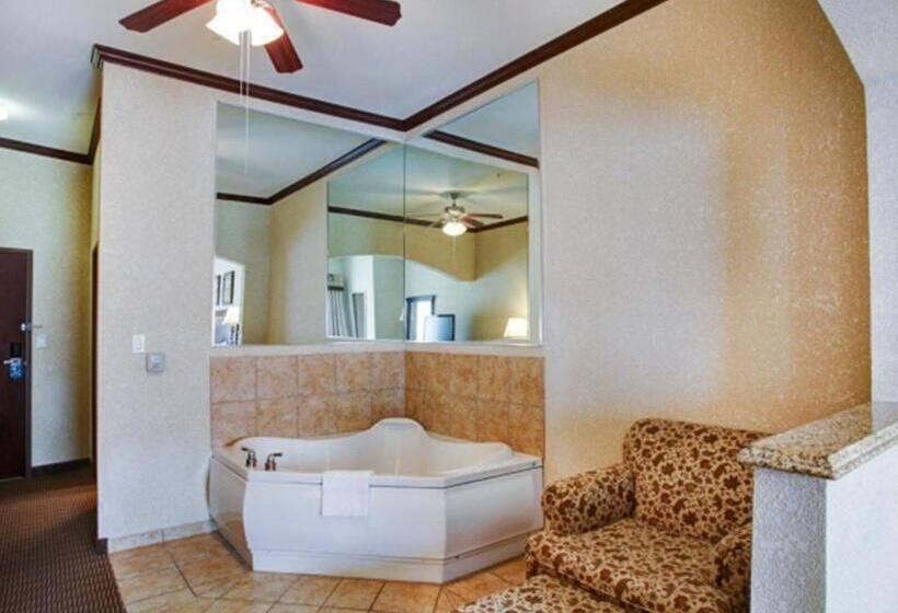 سوئیت با تخت بزرگ, Comfort Suites University Drive