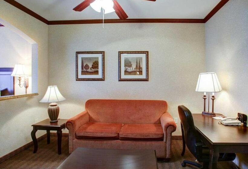 سوئیت با تخت بزرگ, Comfort Suites University Drive