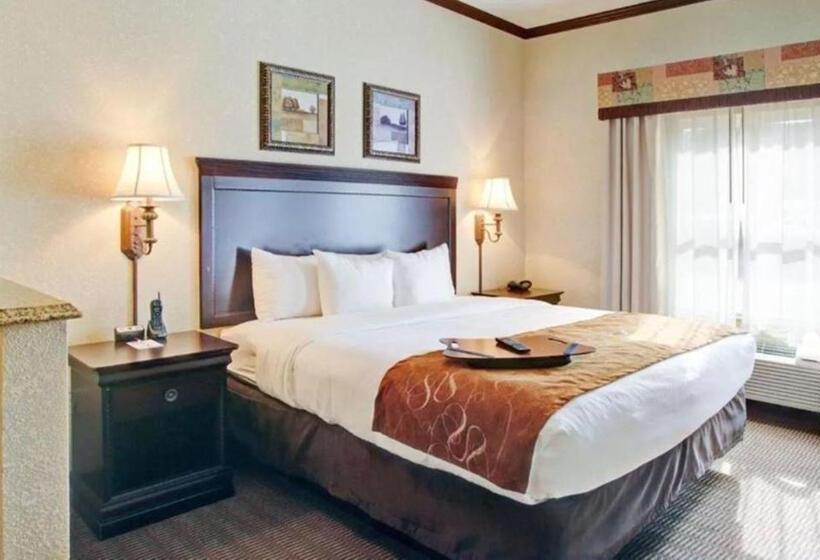 سوئیت برای معلولان, Comfort Suites University Drive