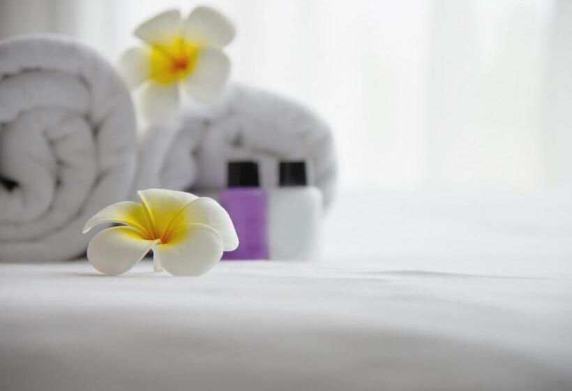 اتاق استاندارد یک نفره, Dalaman Airport Lykia Thermal & Spa