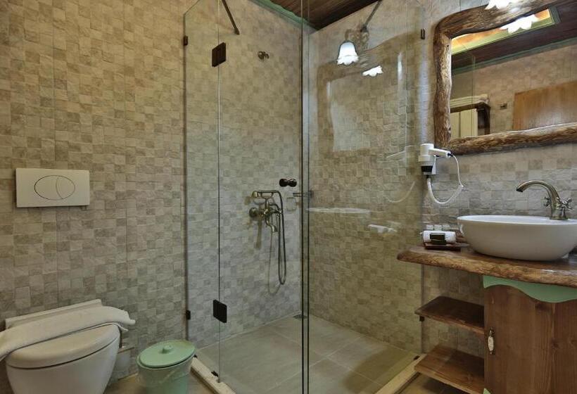 Номер Стандарт Вид на Бассейн, Elif Stone House