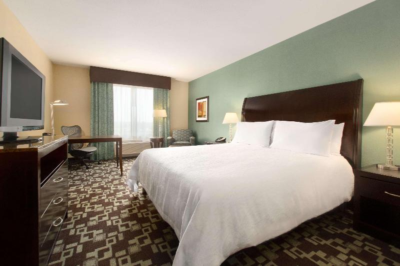 חדר סטנדרט עם מיטת קינג, Hilton Garden Inn Cartersville
