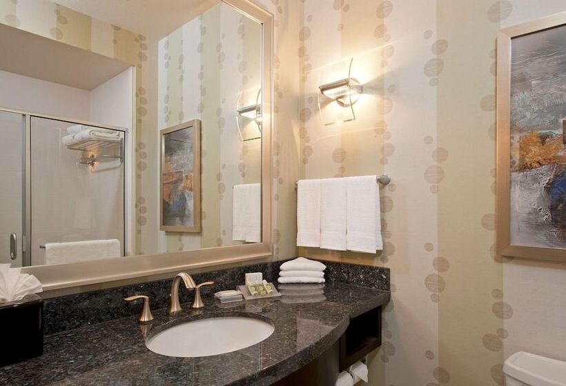 Полулюкс, Hilton Garden Inn Fort Worth Alliance Airport