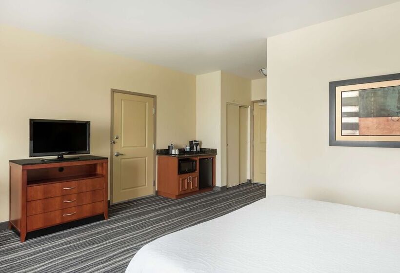 Standard Værelse King-seng Tilpasset til Handicappede, Hilton Garden Inn St. Louis Shiloh/o Fallon Il